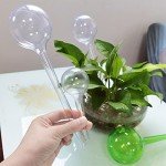 Self-Watering Bulbs for Indoor and Outdoor Plants