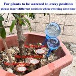 Self-Watering Bulbs for Indoor and Outdoor Plants