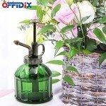 Vintage Glass Plant Mister Spray Bottle