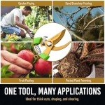 Pruning Shears & Gardening Scissors Set - 7”