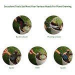5-Piece Mini Garden Tool Set for Succulents
