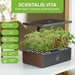 Scentalis Vita Hydroponics Indoor Herb Garden Kit