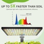 Scentalis Vita Hydroponics Indoor Herb Garden Kit