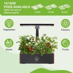 Scentalis Vita Hydroponics Indoor Herb Garden Kit