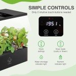Scentalis Vita Hydroponics Indoor Herb Garden Kit