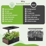 Scentalis Vita Hydroponics Indoor Herb Garden Kit