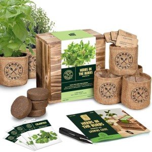 Indoor Herb Garden Kit - Grow Your Own Herbs