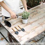 5-Piece Mini Garden Tool Set for Succulents