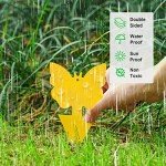 40 Sticky Traps for Indoor Plant Pests