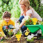 40 Sticky Traps for Indoor Plant Pests