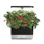 AeroGarden Harvest Indoor Garden - Black