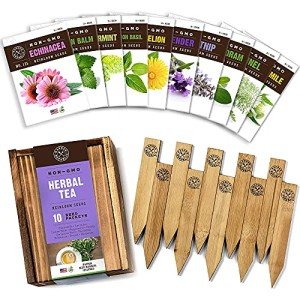 Ultimate Herb Garden Seeds Starter Kit - 10 Pack