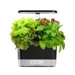 AeroGarden Harvest Indoor Garden - Black