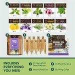 Ultimate Herb Garden Seeds Starter Kit - 10 Pack