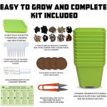 Herb Garden Starter Kit with Pots and Tools