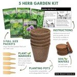 Indoor Heirloom Herb Garden Kit with Seeds