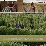 USDA Organic Indoor Herb Garden Kit