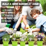 Herb Garden Starter Kit with Pots and Tools