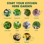 Ultimate Herb Garden Seeds Starter Kit - 10 Pack