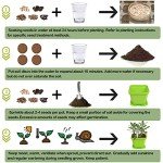 Herb Garden Starter Kit with Pots and Tools