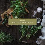 USDA Organic Indoor Herb Garden Kit