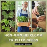 Indoor Heirloom Herb Garden Kit with Seeds