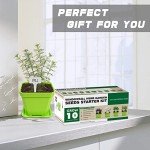 Herb Garden Starter Kit with Pots and Tools