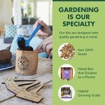 Ultimate Herb Garden Seeds Starter Kit - 10 Pack