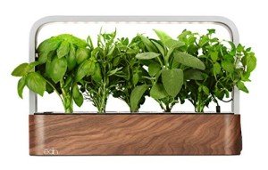 Smart Indoor Garden Starter Kit with Basil Seeds