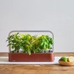 Smart Indoor Garden Starter Kit with Basil Seeds