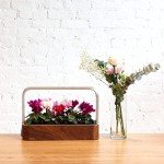 Smart Indoor Garden Starter Kit with Basil Seeds