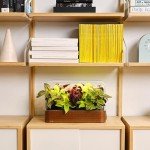 Smart Indoor Garden Starter Kit with Basil Seeds