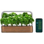 Smart Indoor Garden Starter Kit with Basil Seeds