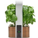Smart Indoor Garden Starter Kit with Basil Seeds