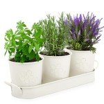 Indoor Herb Garden Planter with Tray Set