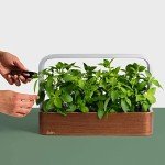 Smart Indoor Garden Starter Kit with Basil Seeds