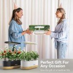 Indoor Hydroponics Garden System with LED Grow Light