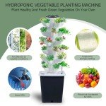 Vertical Hydroponic Indoor Garden Planter Kit