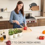 KIBAGA Indoor Herb Garden Planter Set of 3