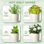 Indoor Herb Garden Planter with Tray Set