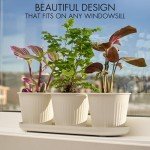 KIBAGA Indoor Herb Garden Planter Set of 3