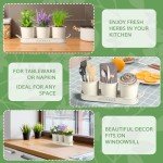 Indoor Herb Garden Planter with Tray Set