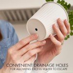 KIBAGA Indoor Herb Garden Planter Set of 3