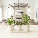 KIBAGA Indoor Herb Garden Planter Set of 3