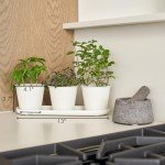 KIBAGA Indoor Herb Garden Planter Set of 3