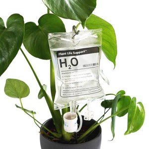 Automatic Watering System for Indoor Plants