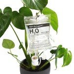Automatic Watering System for Indoor Plants