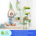 Little Green Leaf Watering Globes for Plants (4pk)