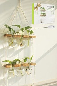 Wall-Mounted Plant Propagation Station with Wooden Stand