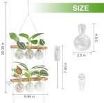 Wall-Mounted Plant Propagation Station with Wooden Stand